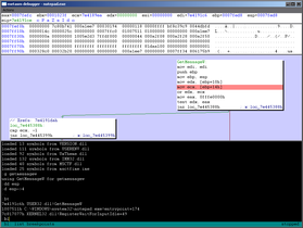 Metasm Debugger
