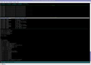 Metasm Lindebug